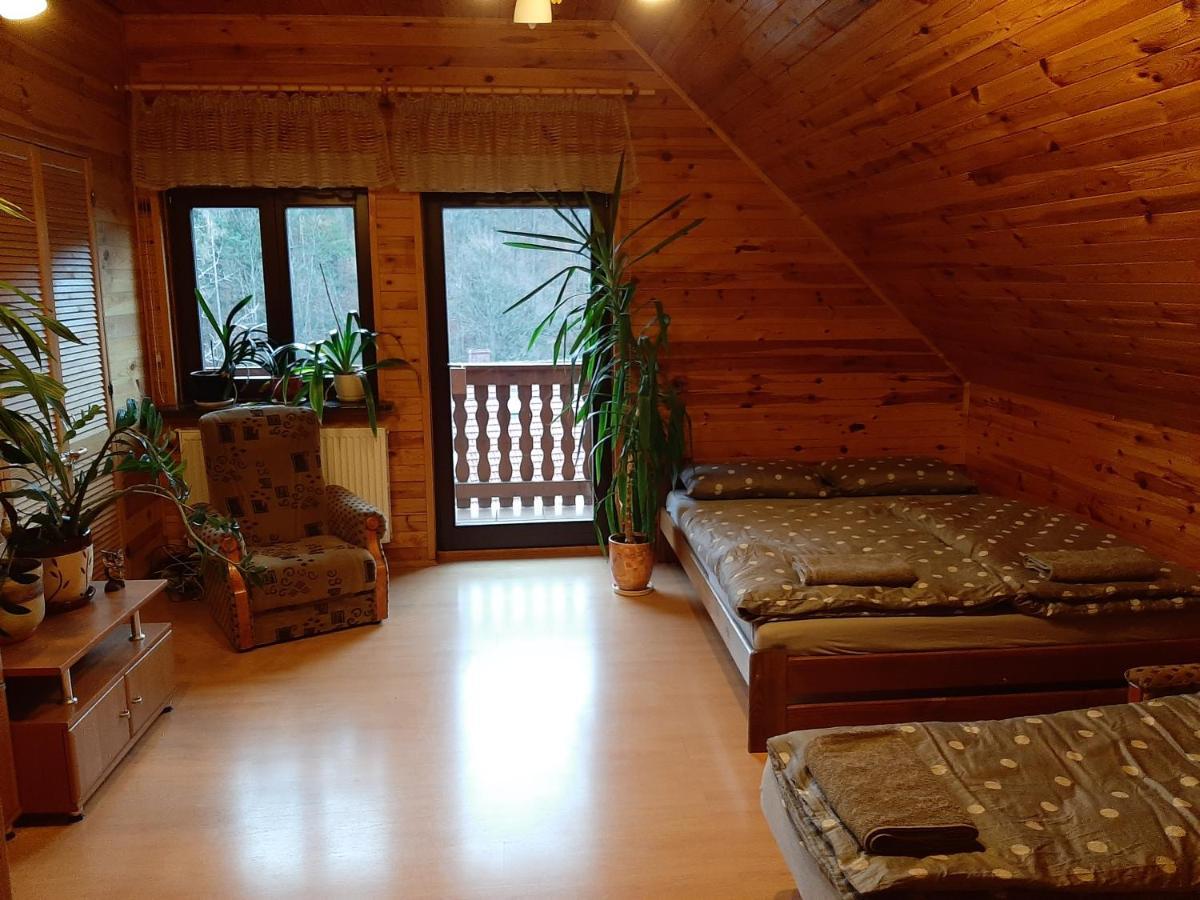 Chata Gorska Sowa Dla 12 Osob, 4 Sypialnie,Salon Z Kominkiem Villa Podgorzyn Exterior photo