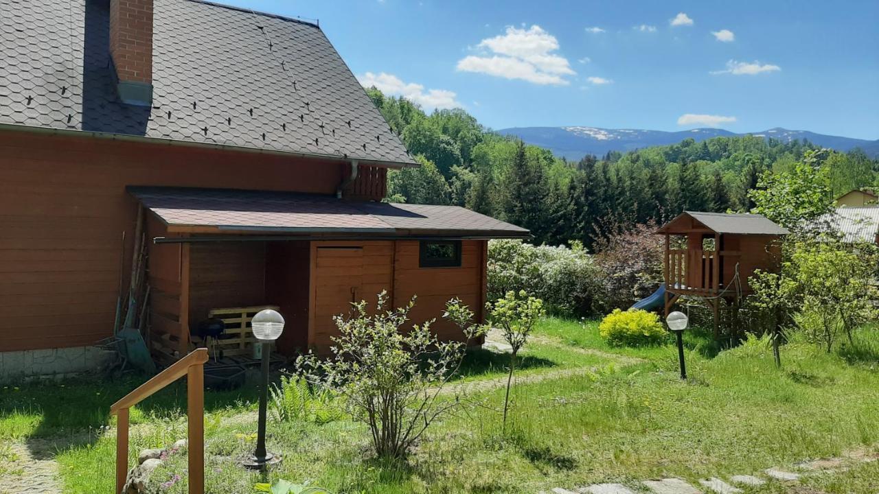 Chata Gorska Sowa Dla 12 Osob, 4 Sypialnie,Salon Z Kominkiem Villa Podgorzyn Exterior photo