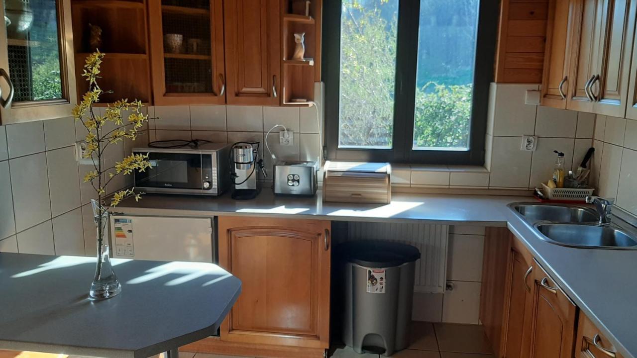 Chata Gorska Sowa Dla 12 Osob, 4 Sypialnie,Salon Z Kominkiem Villa Podgorzyn Exterior photo