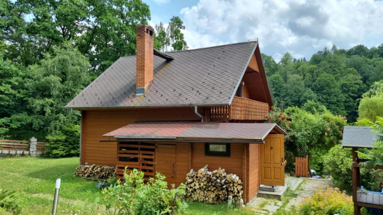Chata Gorska Sowa Dla 12 Osob, 4 Sypialnie,Salon Z Kominkiem Villa Podgorzyn Exterior photo